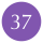 37 深紫 