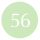 56 淺蘋果綠 